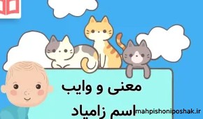 مدل لباس مجلسی با پارچه ی ساده مدل لباس مجلسی با پارچه ی ساده