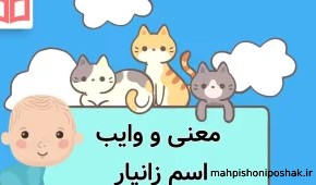 مدل لباس مجلسی با پارچه ی ساده مدل لباس مجلسی با پارچه ی ساده