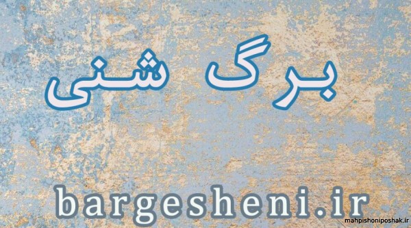 مدل بافت شنی