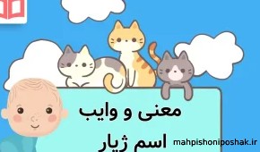 مدل کت و دامن جدید برای افراد چاق مدل کت و دامن جدید برای افراد چاق