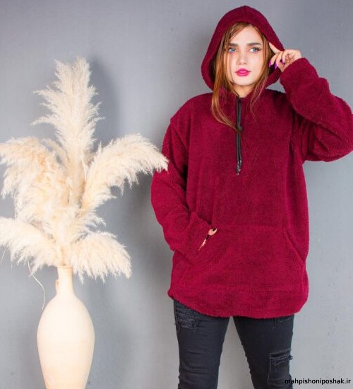 مدل هودی تدی